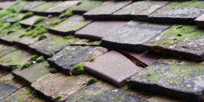 Waterbeach roof repair costs
